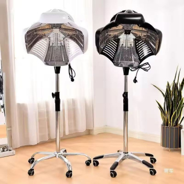 Hairdressing Salon Hair Dryer