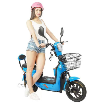 Light-Weight Electric Scooter 