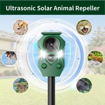 Solar Powered Scarecrow